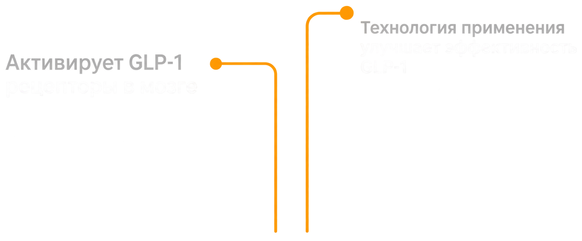 Таблетка GLP-1